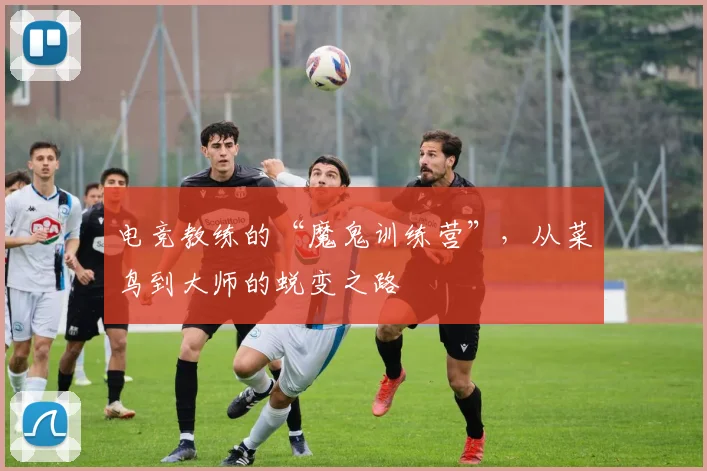 电竞教练的“魔鬼训练营”,从菜鸟到大师的蜕变之路
