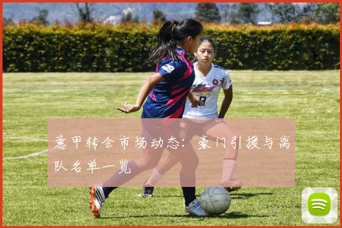 意甲转会市场动态：豪门引援与离队名单一览